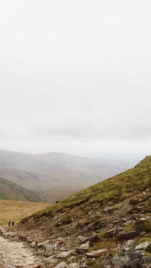 seo工具必备截图1