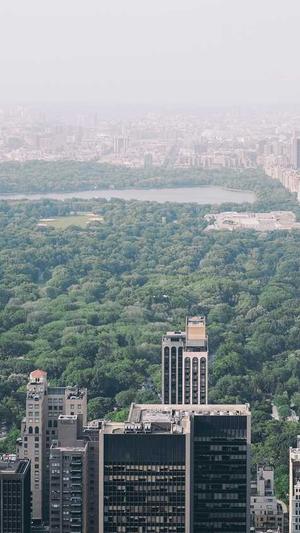 seo分析工具包截图3