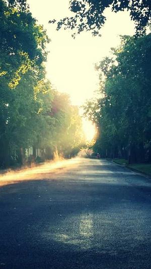 重庆专业seo截图2