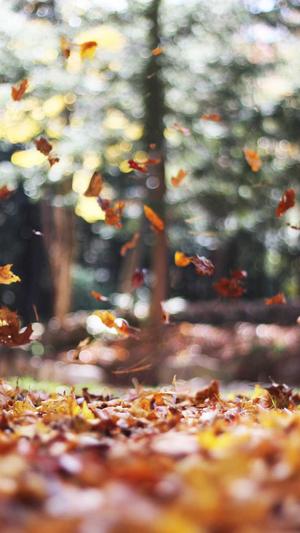 常州 网站建设截图2