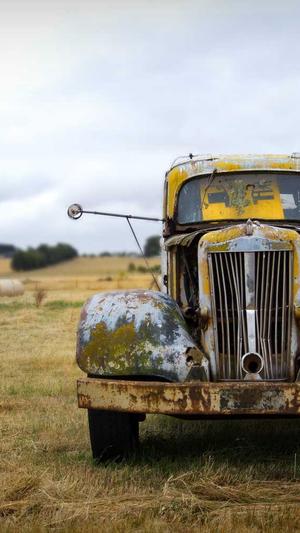 蜘蛛池的应用在哪截图3