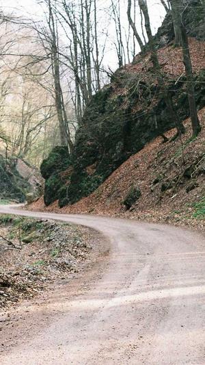 无名外推蜘蛛池怎么用截图1