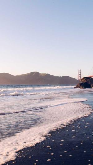 seo排名工具seo排名工具截图4