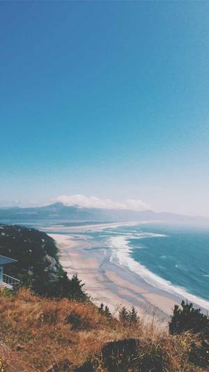 在线工具seo截图4