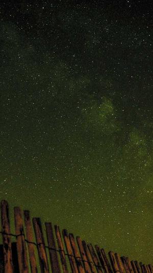 蜘蛛池成本多少钱截图1