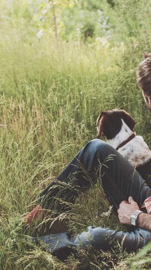 上海seo搜索化工具截图3