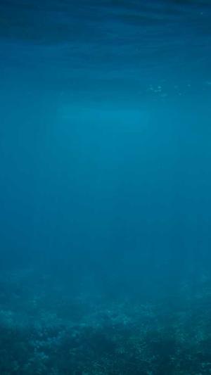 seo工具哪个牌子好截图4