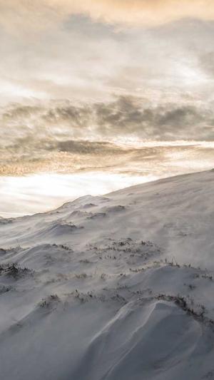 泛目录网站截图5