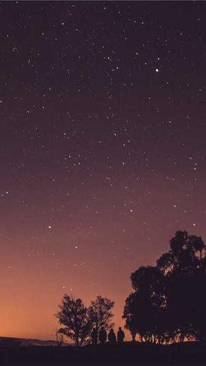 宁夏网站建设截图5