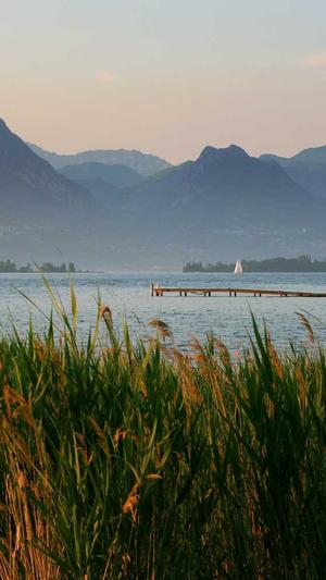 淘宝seo工具截图3