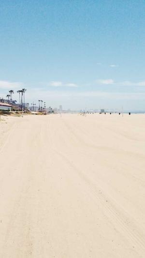 seo泛目录选择旺客专家好截图2