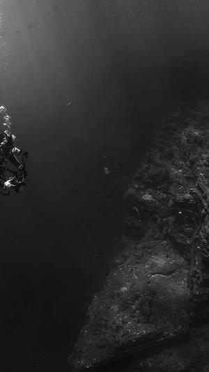 逆冬蜘蛛池完整版截图3