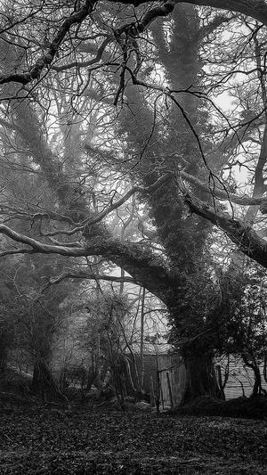 蜘蛛池怎么导入蜘蛛群截图2