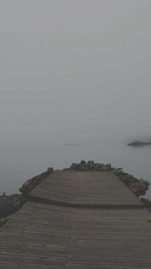 seo关键字工具截图5