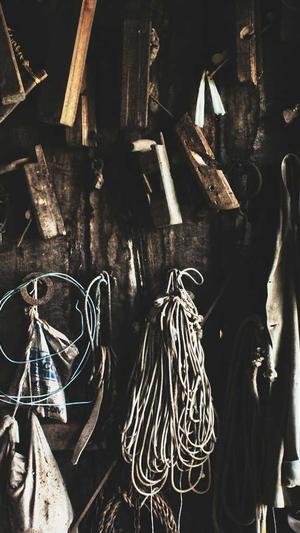 威海seo优化截图1