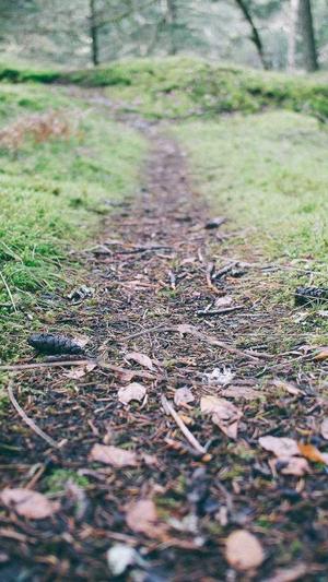 seo优化查询截图3