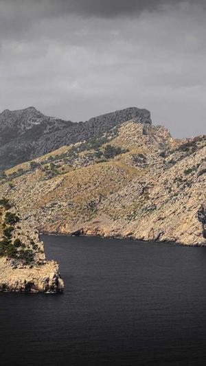 百度蜘蛛池搭建教程截图3