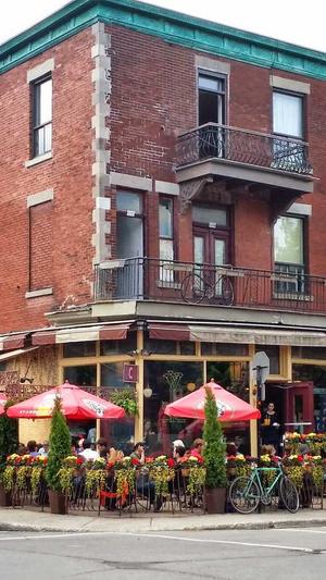 免费建设网站截图1