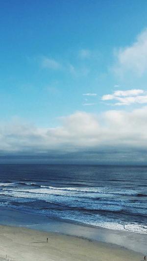 蜘蛛池排名截图2