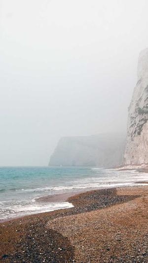 哪家建设网站截图2