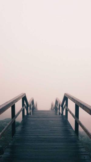 站长工具seo综合查询截图2