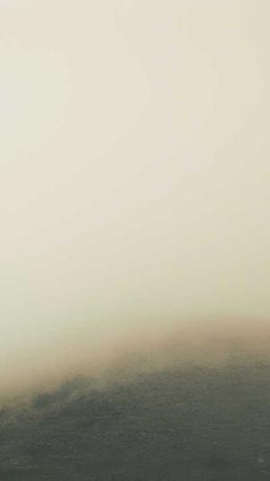 泛目录泛域名截图3