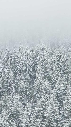 泛目录链接分类截图3