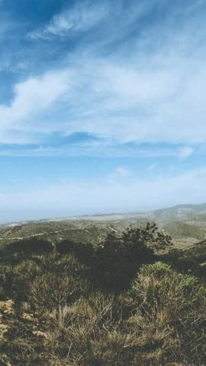 蜘蛛池有用吗骗局截图2