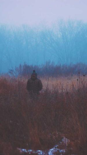 河北网站建设截图3