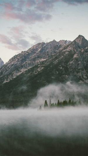 seo站长工具综合查询截图4