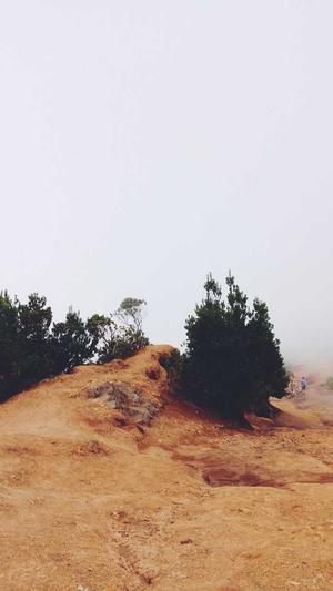 泛目录收录方法截图2