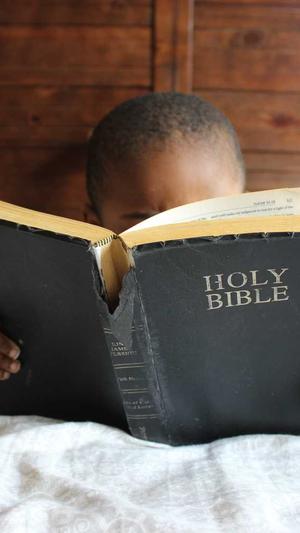 网站seo诊断工具截图3