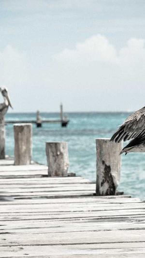 seo网站关键字排名优化截图3