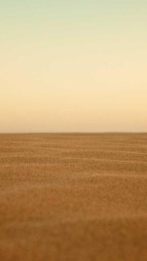 网站 建设 公司截图4