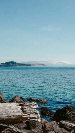 百度seo排名点击器截图3