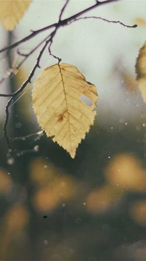 个人网站建设网站截图4