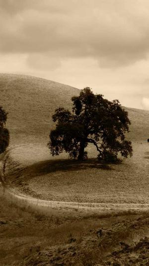 百度推广seo截图4